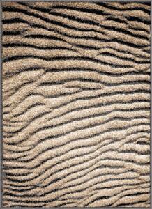 Barna szőnyeg 80x120 cm Avanti – FD