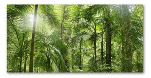 Akrilkép Trópusi erdő