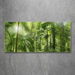 Akrilkép Trópusi erdő