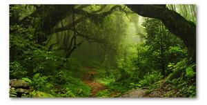 Akril üveg kép Jungle nepál
