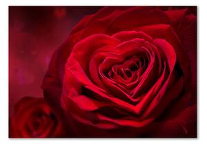 Egyedi üvegkép Vörös rózsa szív