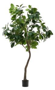 Fikusz műnövény (magasság 210 cm) Ficus – Kave Home