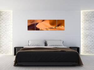 Kép - sivatagi, dűnék (170x50cm)