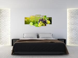 Kép - szőlő (150x70cm)