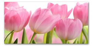 Akrilkép Rózsaszín tulipánok