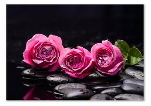 Egyedi üvegkép Rózsaszín rózsa