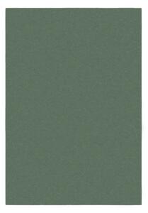 Zöld szőnyeg 120x170 cm – Flair Rugs