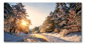 Akril üveg kép Az út a téli erdőben