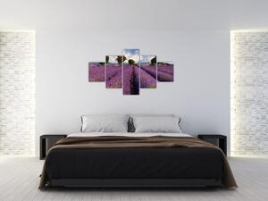 Kép - levendula, mező (125x70cm)