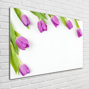 Akrilkép Lila tulipánok
