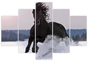 Kép - lovak, a hóban (150x105cm)