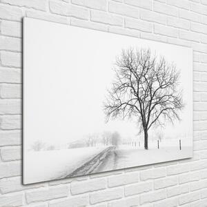 Üvegfotó Fa télen