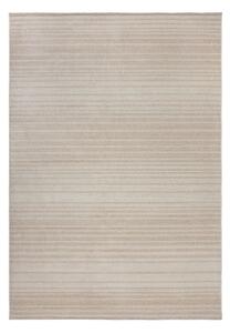 Krémszínű szőnyeg 160x230 cm Camino – Flair Rugs
