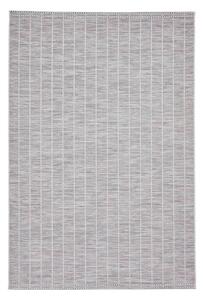 Világosszürke kültéri szőnyeg 120x170 cm Santa Monica – Think Rugs