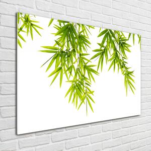 Egyedi üvegkép Bambusz levelek