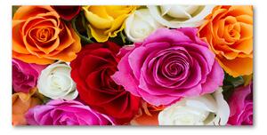 Akrilkép Színes rózsák