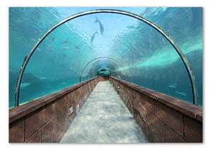 Akrilüveg fotó Az alagút akvárium