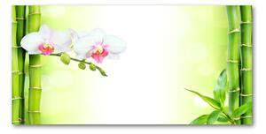 Akrilkép Orchidea és bambusz