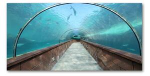 Akrilüveg fotó Az alagút akvárium