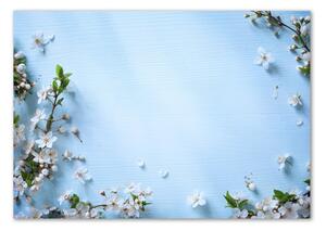 Egyedi üvegkép Cseresznye virágok háttér