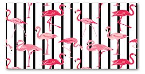Akrilkép Flamingók rudak