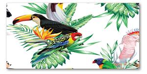 Akrilkép Trópusi madarak