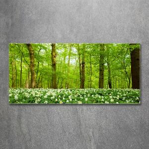 Akril üveg kép Virágok az erdőben