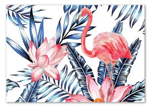 Üvegkép Flamingók és növények