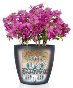 LECHUZA Classico Color 28 ALL-IN-ONE palaszínű virágtartó