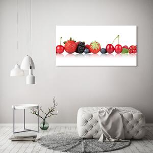 Akril üveg kép Gyümölcsök egy sorban