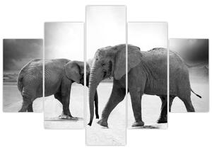Modern kép - állatok (150x105cm)