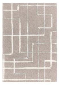 Világosszürke kézi szövésű gyapjú szőnyeg 120x170 cm Ada – Asiatic Carpets