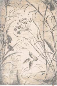 Krémszínű gyapjú szőnyeg 200x300 cm Botany – Agnella