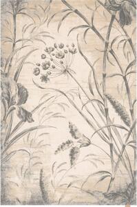 Krémszínű gyapjú szőnyeg 300x400 cm Botany – Agnella