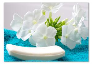 Akrilkép Fehér virágok spa