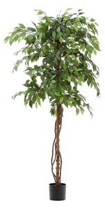 Fikusz műnövény (magasság 180 cm) Ficus – Kave Home