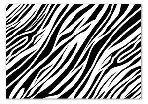 Akrilkép Zebra háttér