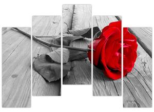 Kép - rózsa, piros virág (125x90cm)