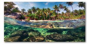 Akrilüveg fotó Trópusi tengerpart