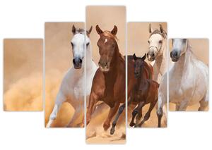 Festmények - futó lovak (150x105cm)