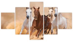 Festmények - futó lovak (125x70cm)