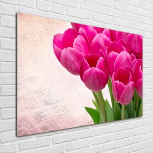 Akrilkép Rózsaszín tulipánok