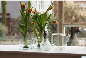 Clear üveg locsolókanna virágokhoz, 1,5 l - Esschert Design