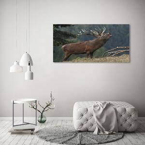 Akrilkép Deer a hegyen
