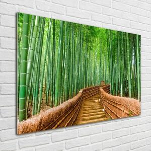 Akrilüveg fotó Bambusz erdő