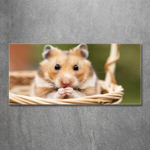 Akrilkép Hamster a kosárban