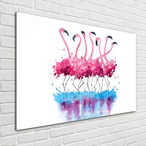 Egyedi üvegkép Flamingók