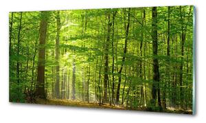 Konyhai üveg panel Lombhullató erdő