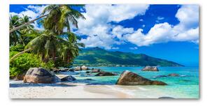 Akrilüveg fotó Seychelles strand