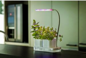 Fém termesztő Lamp – Esschert Design